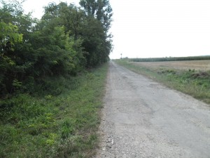 zemplenagard_2013_09_mgutak_takaritasa (10)