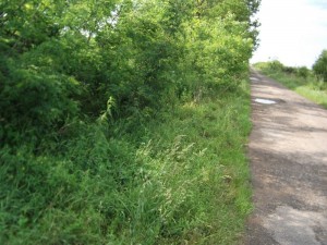 zemplenagard_2013_09_mgutak_takaritasa (11)