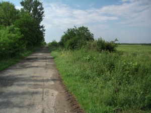 zemplenagard_2013_09_mgutak_takaritasa (14)