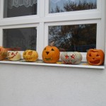 SAM_0340