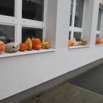 SAM_0341