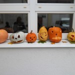 SAM_0343