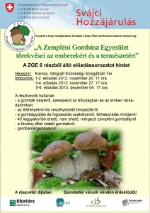 Karcsa.2013_11_11 gomba