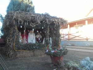betlehemes_képek_révleányvár_2013.12 (3)
