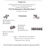 bhalom_2014_07_14_nyar