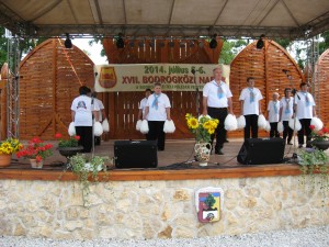 2014_bodrg-kozi-napok_kepek_pacin (138)