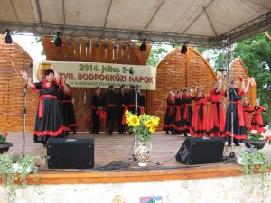 2014_bodrg-kozi-napok_kepek_pacin (178)