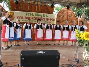 2014_bodrg-kozi-napok_kepek_pacin (182)