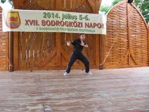 2014_bodrg-kozi-napok_kepek_pacin (192)