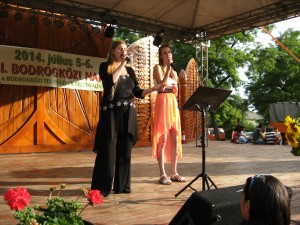 2014_bodrg-kozi-napok_kepek_pacin (254)