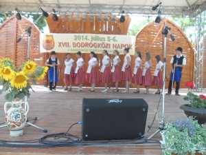 2014_bodrg-kozi-napok_kepek_pacin (63)