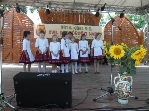 2014_bodrg-kozi-napok_kepek_pacin (67)