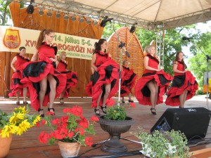 2014_bodrg-kozi-napok_kepek_pacin (82)