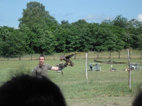 2013.06.28_Kézműves foglalkozás04