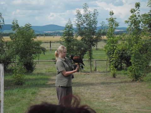 2013.06.28_Kézműves foglalkozás05