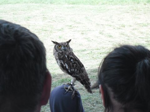 2013.06.28_Kézműves foglalkozás07