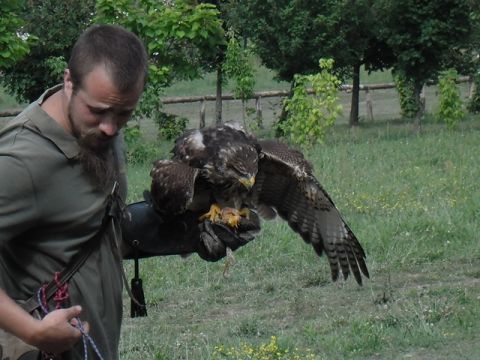 2013.06.28_Kézműves foglalkozás08