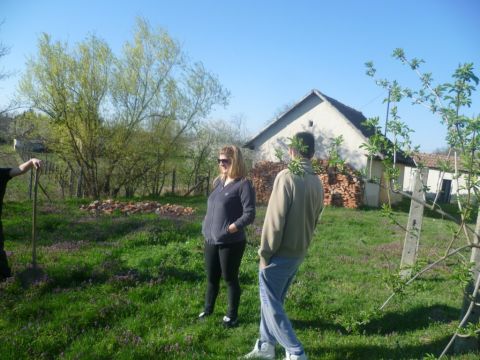 Tavaszváró  (11)