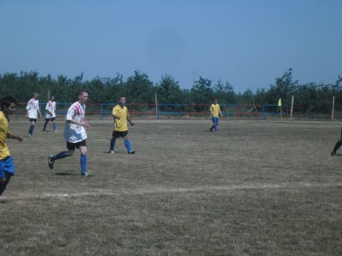 pünkösdi (7)