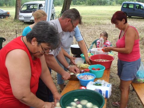Karcsa_2014_08_09_falunap (9)
