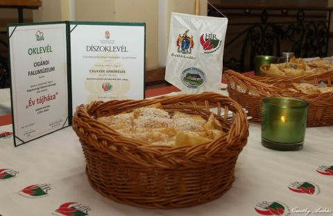2015_02_12_cigánd_megyei-közgyűlésen az apróbéles (8)