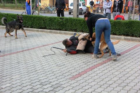 2015_05_21_cigánd_Sport és esélyegyenlőség (87)