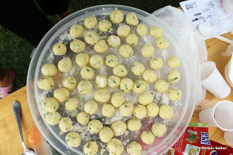 2017_08_20_cigánd_városnap (24)