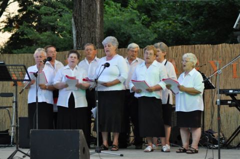 2017_falunap_válogatás (217)