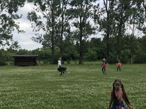 II. hét (100)