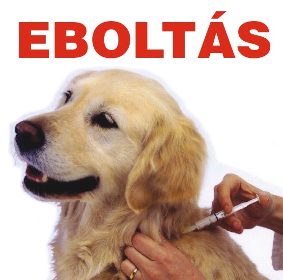 EBOLTÁS KARCSÁN
