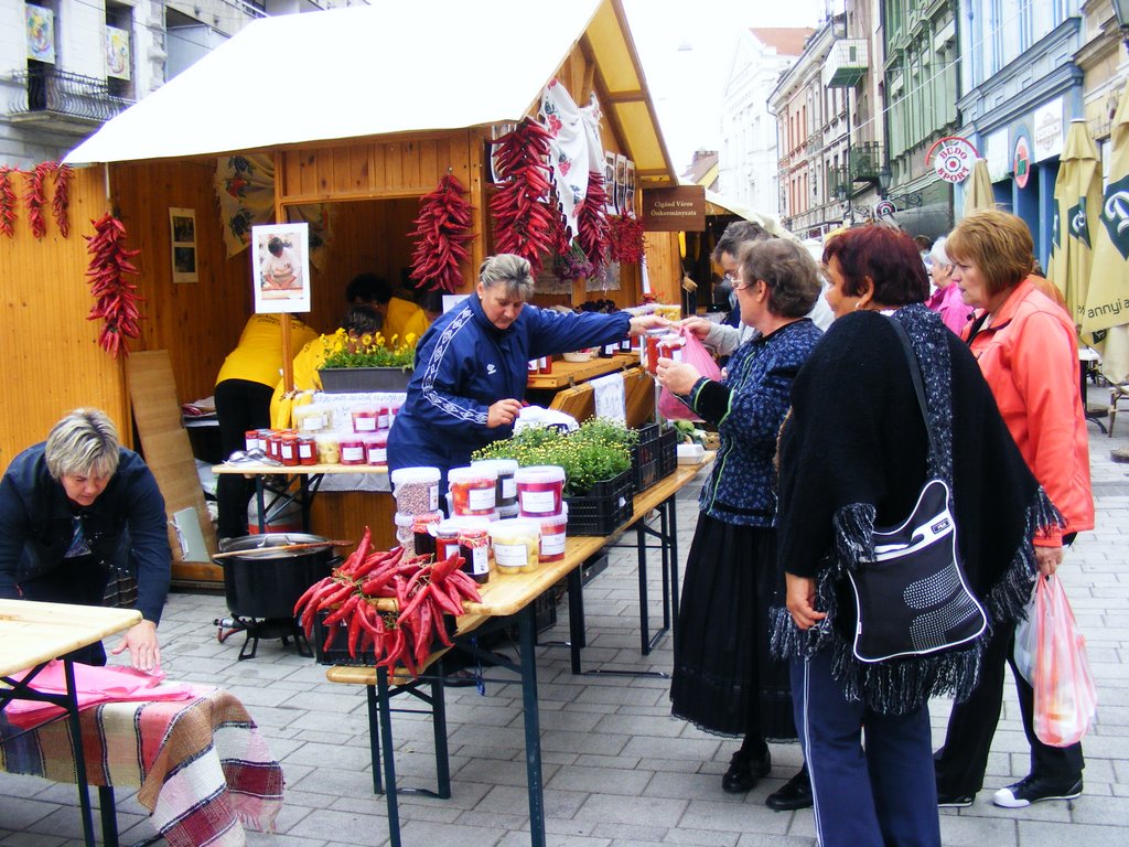 Közfoglalkoztatási kiállítás Miskolcon