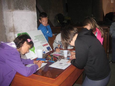 tabor karcsa 8