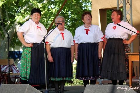 cigand_2013_08_21_allamalapítas unnepe (101)