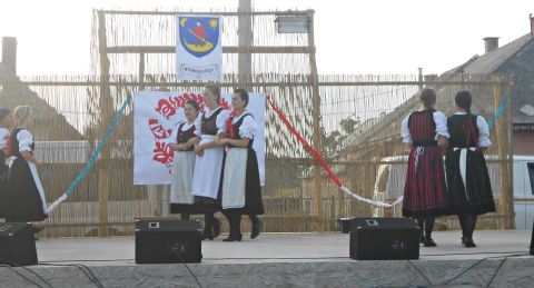 cigand_2013_08_26_sarkantyus_kisrozvagy (23)