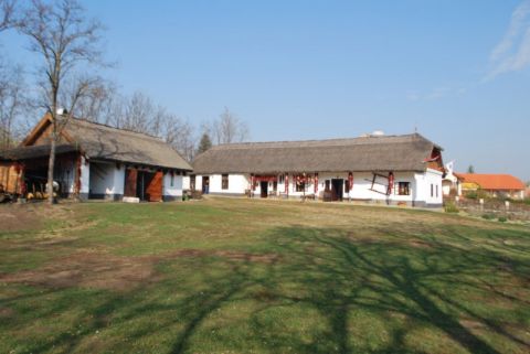 2013_10_25_cigaand_múzeum (6)