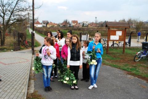 2013_10_29_cigánd_mindenszentek (31)