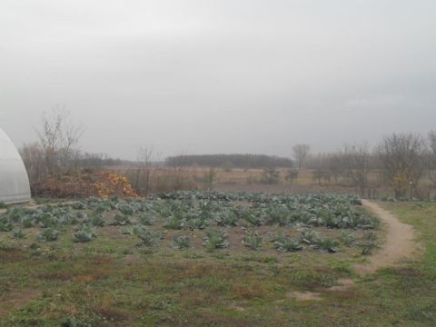 2013_10_30_kisrozvagy_kisrozvágyi termékek (3)