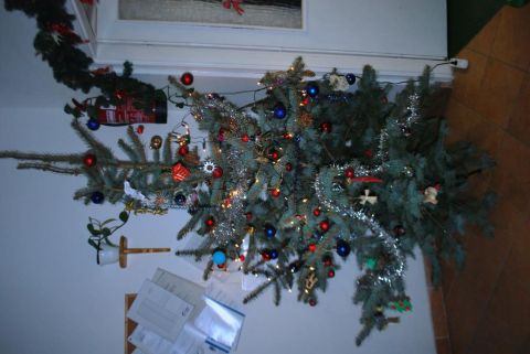 2013_12_17_cigánd_karácsony az idősek klubjában (4)