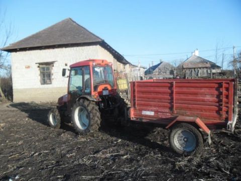 Tüzifa osztás (5)