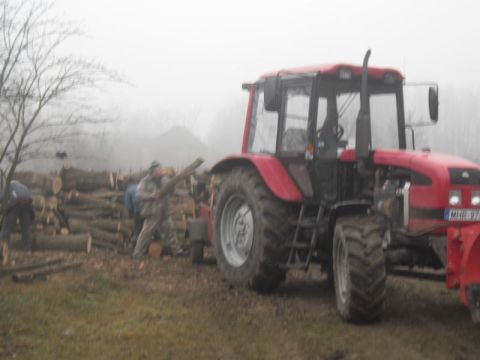 tüzelőfa_osztás_révleányvár_1 (13)
