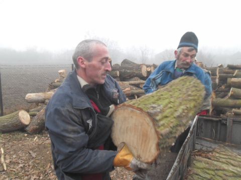 tüzelőfa_osztás_révleányvár_1 (4)