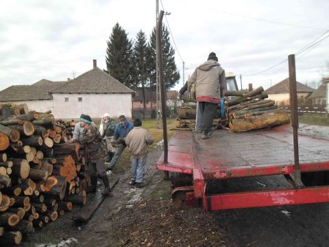 damoc_2013_02_10_faosztas (17)