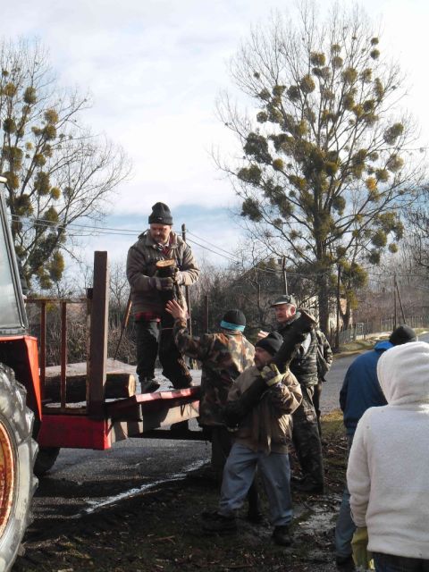 damoc_2013_02_10_faosztas (7)