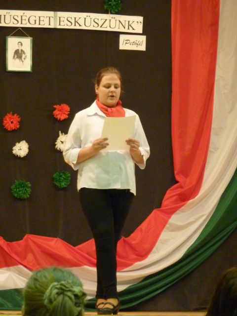 14.03.14._Nagyrozvagy_Március15(2)