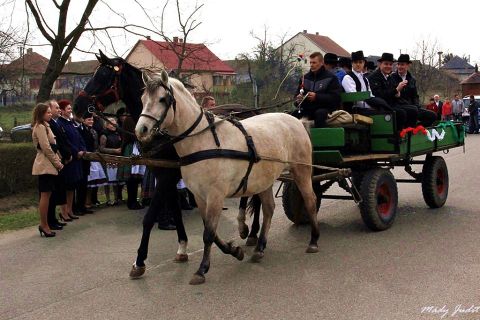 2014_03_15_cigánd_március 15_ünnepség (29)