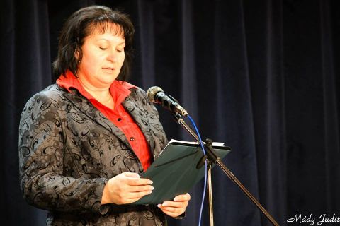 2014_04_11_cigánd_szavaló_verseny_költészet_napja (19)