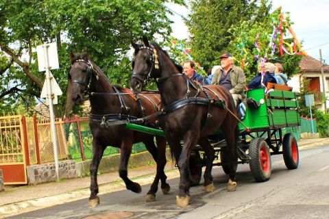 2014_04_26_cigánd_tájházak_napja (7)