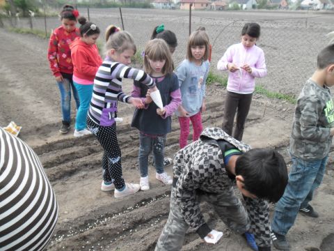 Karcsa_2014_04_07 vesd bele (21)