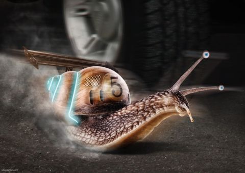 Turbo Final small