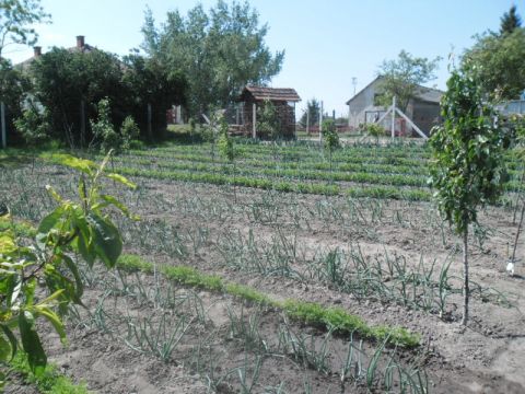 2014_05_07_Kert_Kisrozvágy (6)